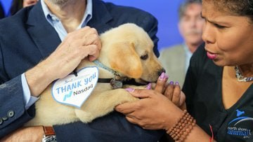 Ralph the rescue dog at the Nasdaq Opening Bell